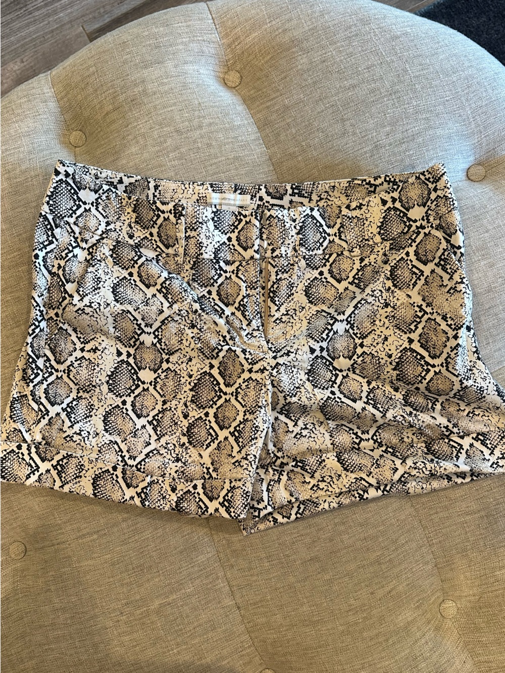 New York & Company Snake Print Women's Shorts - Cream & Black